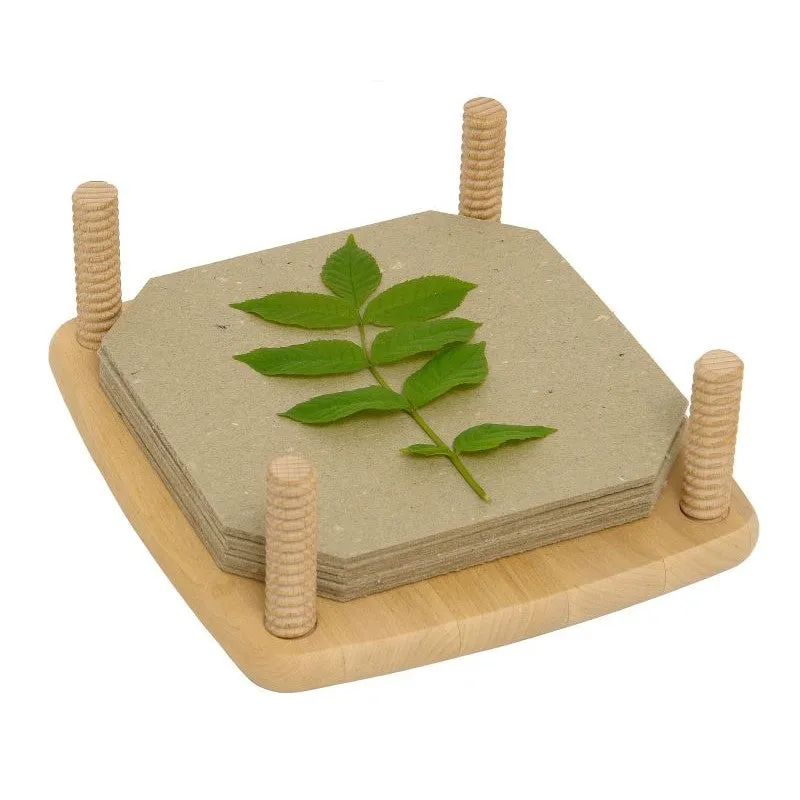 Drewart Flower Press for all your Summer Memories