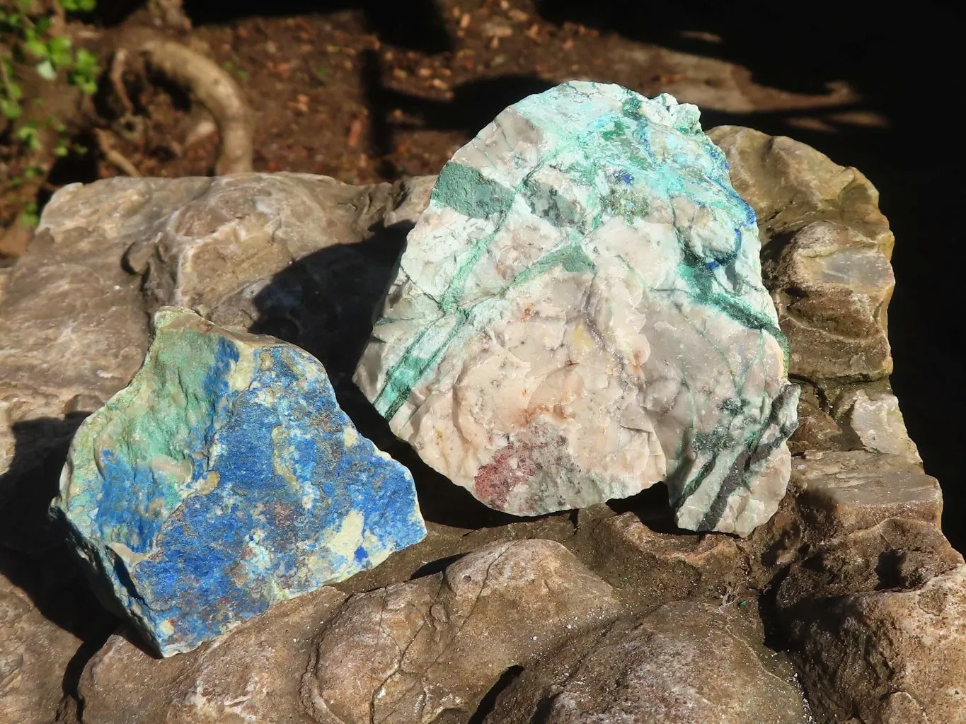 Natural Azurite & Malachite On Dolomite Specimens  x 15 From Kaokoveld, Namibia