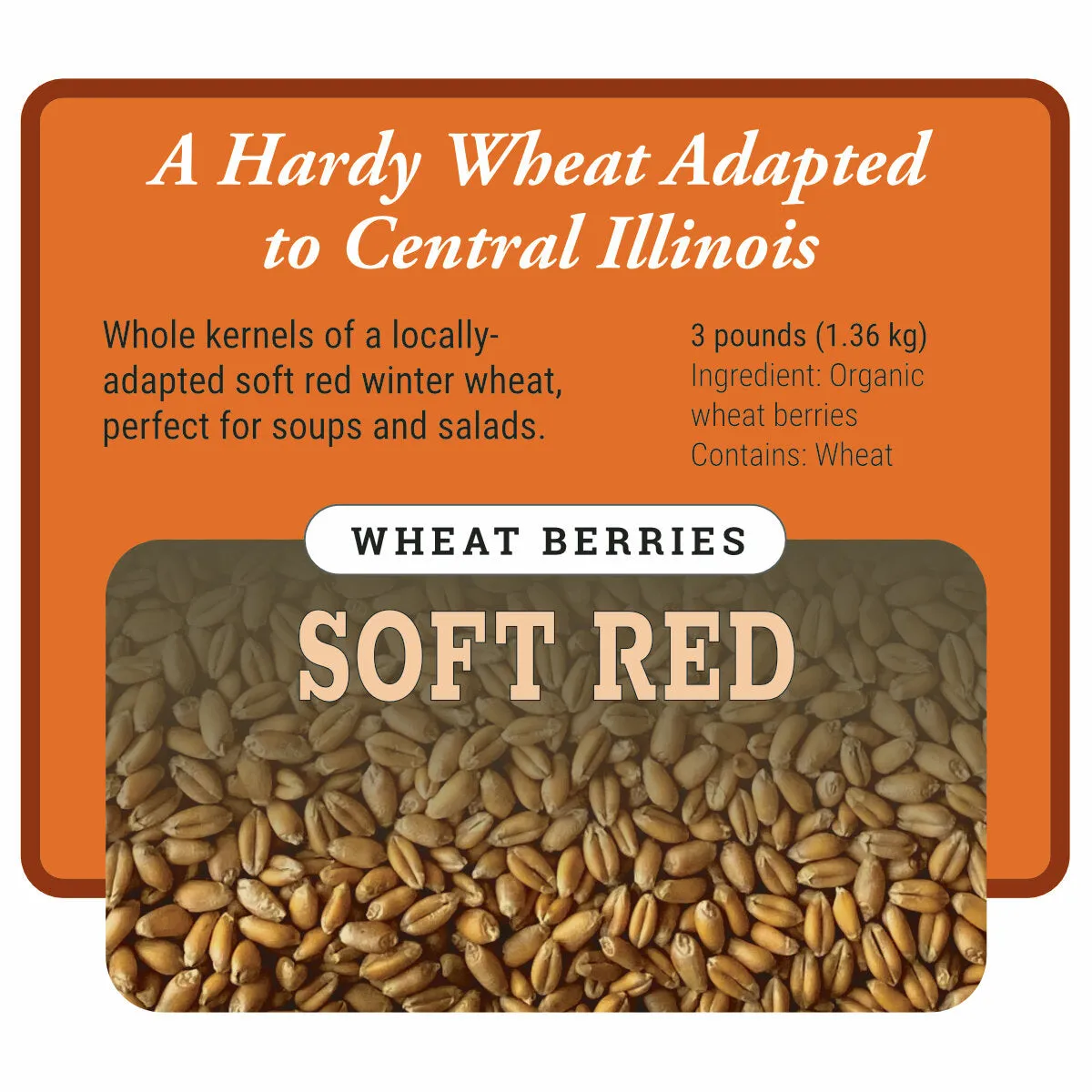 Organic Soft Red Winter Wheat Berries Wholesale