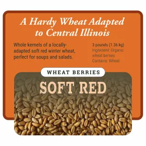 Organic Soft Red Winter Wheat Berries Wholesale