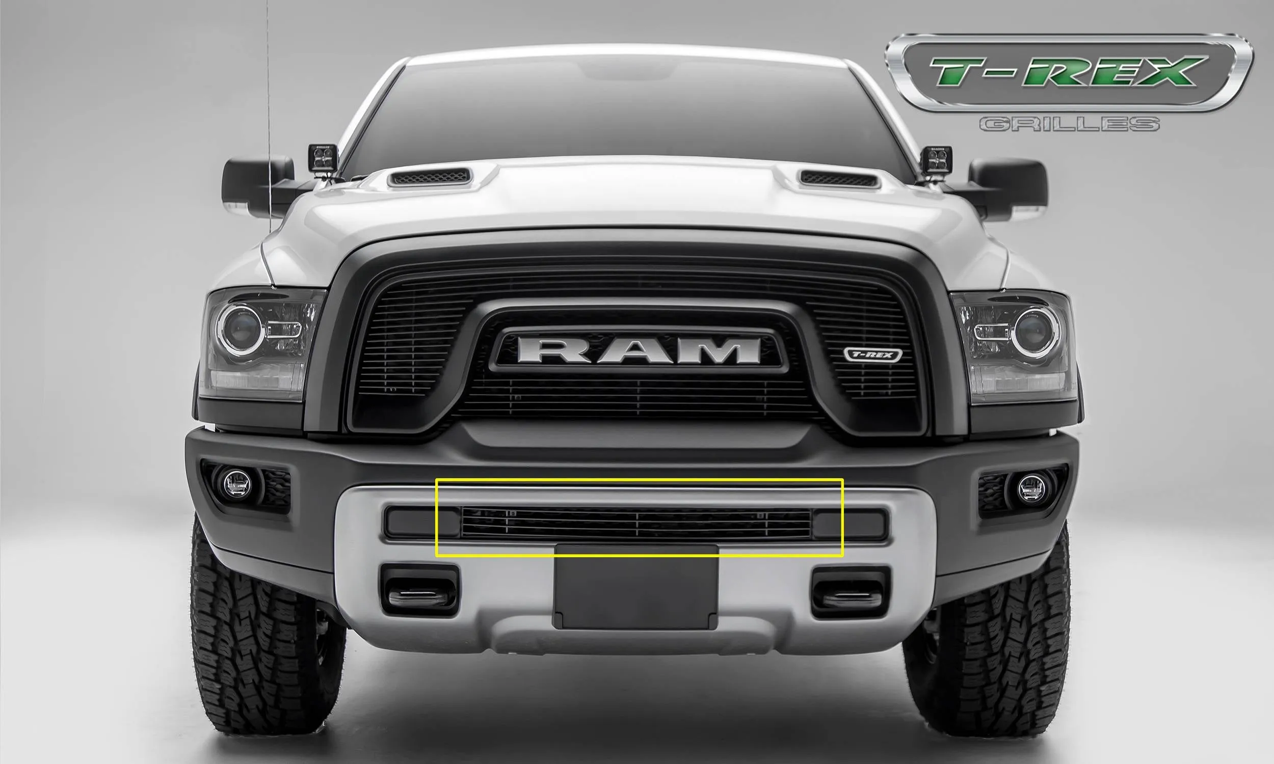 T-REX Billet Series, Insert Bumper Grille - Requires Drilling or Cutting - 2015-2018 Ram 1500