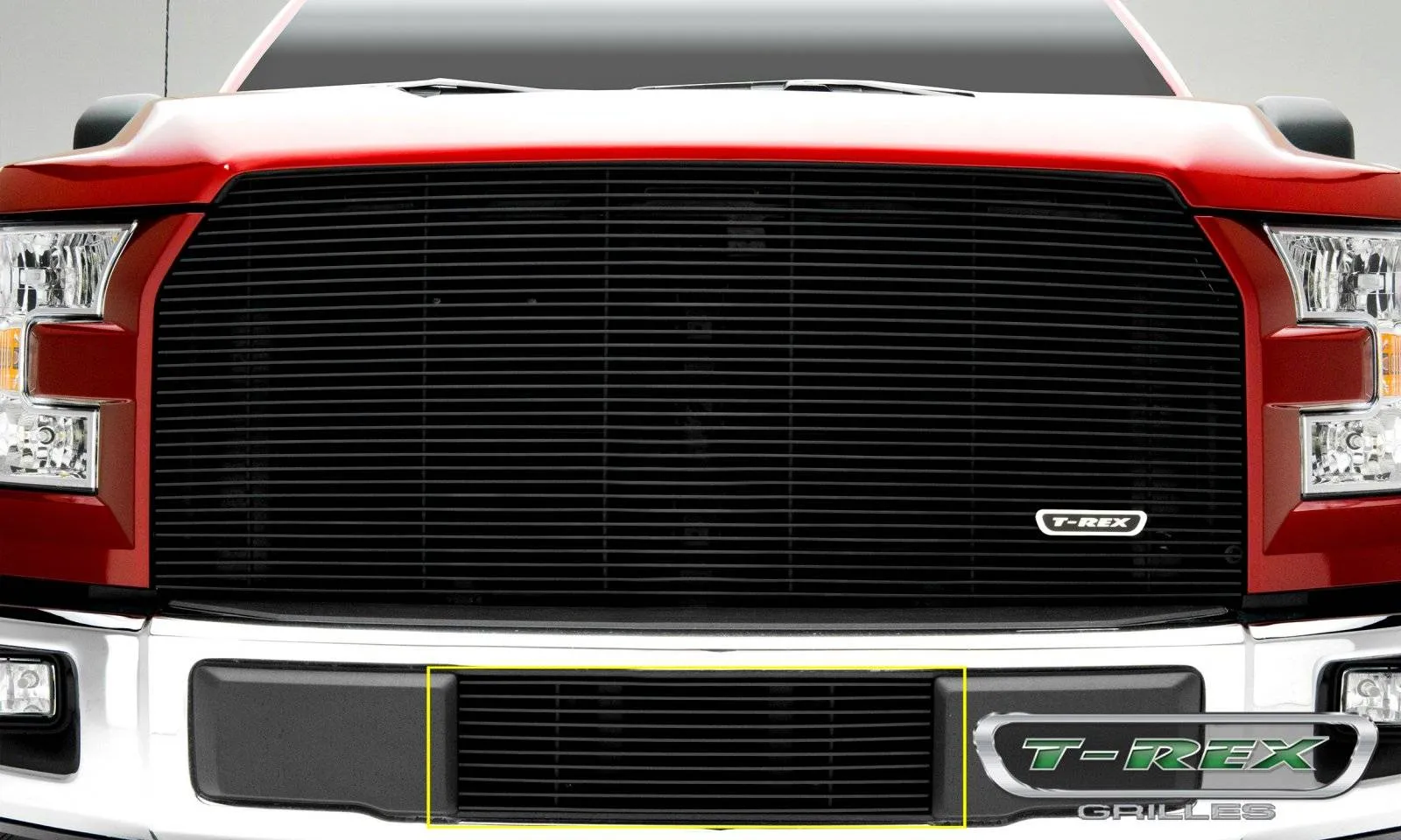 T-REX Billet Series, Insert Bumper Grille - Requires Drilling or Cutting - 2015  F150